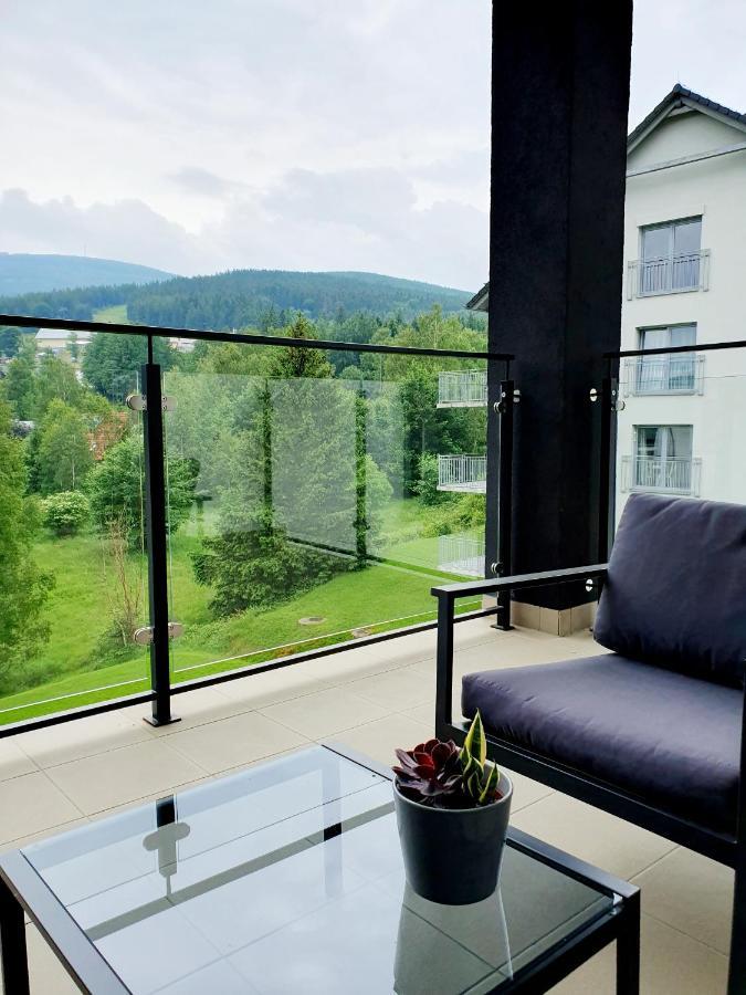Świeradów-Zdrój Apartament Wlochatka Z Sauna Finska מראה חיצוני תמונה